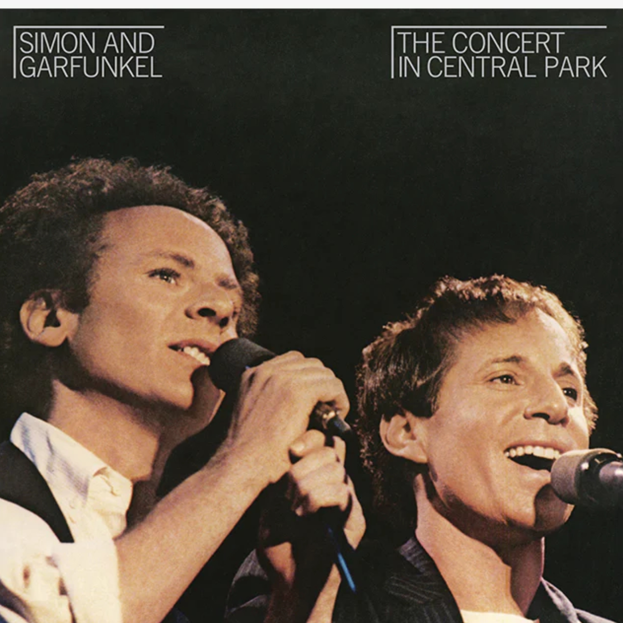 The Concert in Central Park