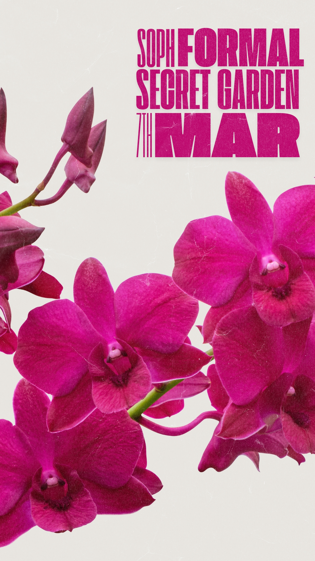 Soph Formal: Secret Garden